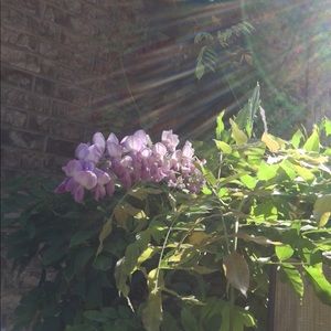 Meet your Posher, Sun